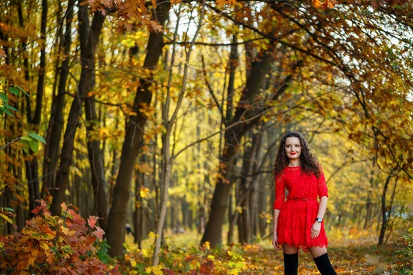 秋天的森林里 一个穿着红色衣服卷曲着卷发的女孩 — 图库照片