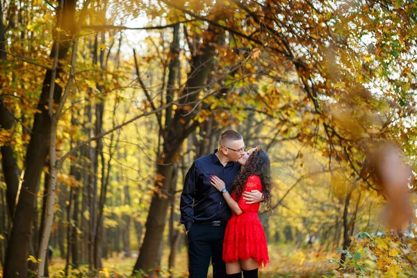 Mooi Koppel Het Herfstbos — Stockfoto