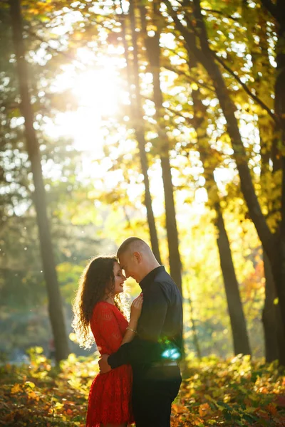Gyönyörű Pár Őszi Erdőben — Stock Fotó