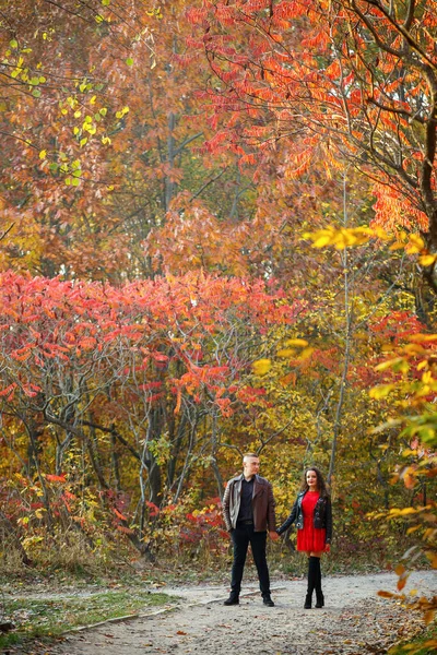 Piękna Para Jesiennym Lesie — Zdjęcie stockowe