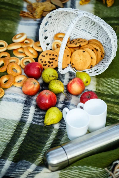 秋天森林里的苹果和饼干 — 图库照片