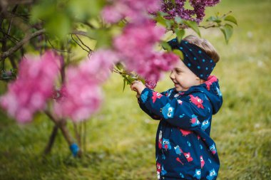 Küçük bir kız leylak çalılarının yanında duruyor, gülümsüyor ve mor çiçekleri kokluyor.