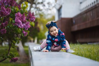 Küçük bir kız leylak çalılarının yanında duruyor, gülümsüyor ve mor çiçekleri kokluyor.