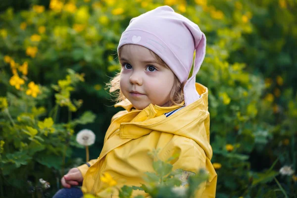 黄色のジャケットのかわいい女の子は牧草地で花を収集します 春の花の間には新緑の草の中に子供が立っていた 小さな子供が最初の野生の黄色の花の花束を作ります — ストック写真