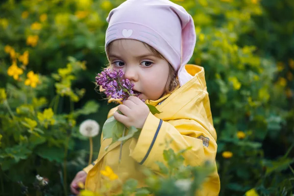 黄色のジャケットのかわいい女の子は牧草地で花を収集します 春の花の間には新緑の草の中に子供が立っていた 小さな子供が最初の野生の黄色の花の花束を作ります — ストック写真