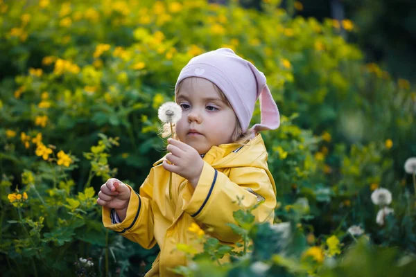 写真は幸せな子供の女の子が黄色のジャケットと白い帽子の牧草地で遊んで着て 花は子供と草に囲まれ 日没の間にフィールドで遊んでいます 幼少期の概念 — ストック写真