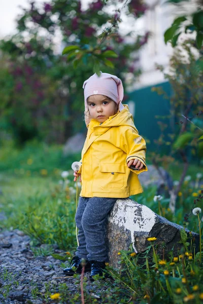 ピンクの帽子の女の子と黄色のジャケットは黄色のタンポポと花のフィールドに座っています — ストック写真