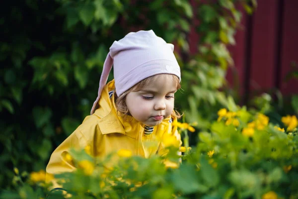 Menina Bonita Uma Jaqueta Amarela Reúne Flores Prado Uma Criança — Fotografia de Stock