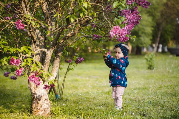 Küçük Bir Kız Leylak Çalılarının Yanında Duruyor Gülümsüyor Mor Çiçekleri — Stok fotoğraf