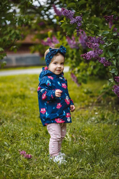 Mała Dziewczynka Stoi Pobliżu Bujnego Krzaka Bzu Uśmiecha Się Wącha — Zdjęcie stockowe