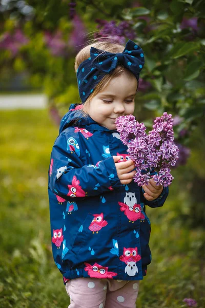Uma Menina Está Perto Arbusto Exuberante Lilases Ela Sorri Cheira — Fotografia de Stock
