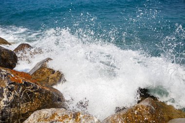 Deniz suyu kayalık kayalara çarpar ve köpükle dalgalar yaratır.