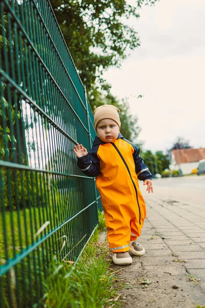 Parlak turuncu yağmurluk ve rahat örgü bir şapka giymiş, sevimli, küçük bir çocuk bulutlu bir günde büyüleyici yeşil bir çitin yanında doğanın harikalarını keşfediyor.