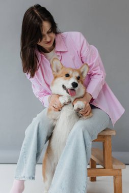İçeride Corgi Dog 'un yanında oturan mutlu esmer. Keyfi yerinde neşeli bir kız, güzel bir hayvanı okşuyor. İnsan ve evcil hayvan arasındaki arkadaşlık kavramı.
