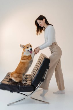 Corgi köpeğiyle oynayan genç bir kadın. Sağlıklı bir yaşam tarzı ve evcil bir hayvanla bir dairede yaşamak. Evcil hayvan konsepti.