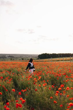 Bir insan nefes kesici bir şekilde canlı bir alanda gezinir çiçek açan gelinciklerle süslenir, doğanın saf özünü somutlaştırır ve baharın huzur verici sükunetini.