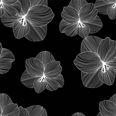 vektör tropikal çiçek canna dikişsiz siyah beyaz desen