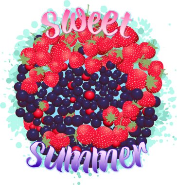 vektör yaz meyveleri çilek frenk üzümü illüstrasyon