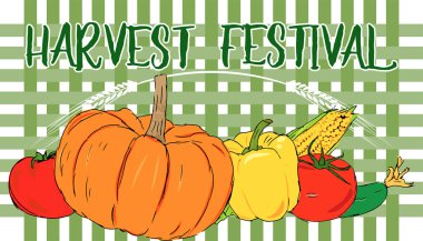 Hasat Festivali vektör sebze afiş