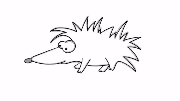 Hedgehog animation is coming. in black and white 15 seconds cartoon — Stock Video