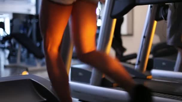 Mooie gebruinde vrouwelijke benen lopen op een loopband in de sportschool. Achteraanzicht. — Stockvideo