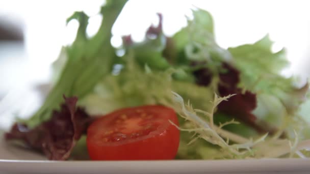 将橄榄油喷在一盘绿色生菜和西红柿上 — 图库视频影像