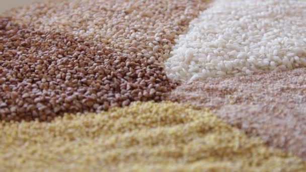 Several types of cereals on one plate. buckwheat, rice, millet, barley. close-up. the camera moves around this to the right — Stock Video