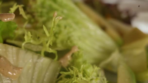 Gotas de molho de noz em folhas de salada verdes. Macro.close-up — Vídeo de Stock
