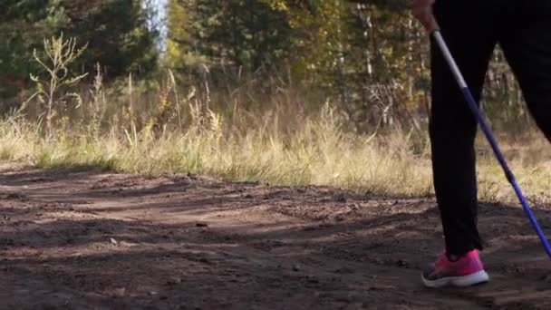 Az őszi erdőben nordic walkingot gyakorló nő lábai, a kamerából elsétál. — Stock videók