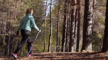 Bir sonbahar ormanında İskandinav Yürüyüşü yapan kadın, soldan sağa doğru bize geri dönüyor.yavaş çekim