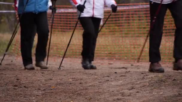 Pernas de um grupo de pessoas praticando Nordic Walking.slow motion — Vídeo de Stock