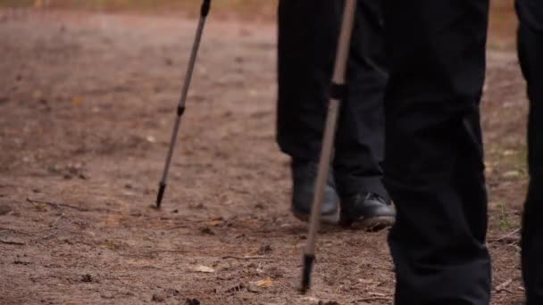 Blízkou výstřelu nohou velké skupiny lidí praktikující severskou chůzi. pomalý pohyb — Stock video