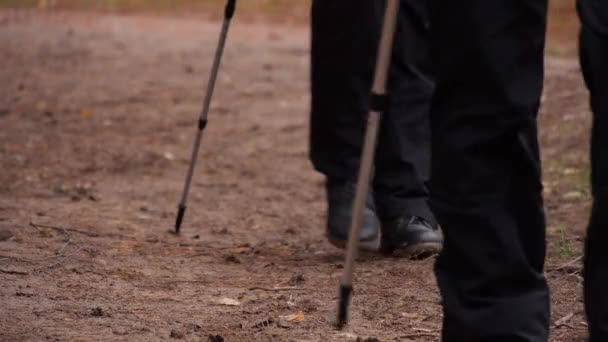 Zbliżenie stóp dużej grupy osób uprawiających Nordic Walking. zwolnionym tempie — Wideo stockowe