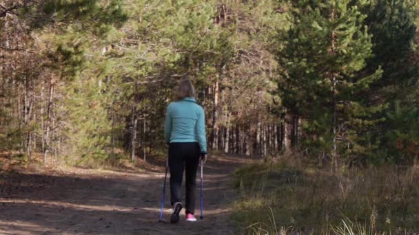 Женщина практикует Nordic Walking в осеннем лесу, она уходит от камеры на песчаной дороге. — стоковое видео