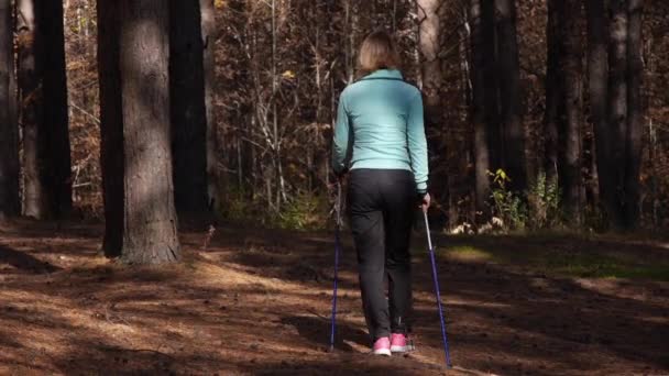 Mulher praticando Nordic Walking em uma floresta de outono, ele vem de nós pisando em agulhas de coníferas entre as árvores grandes. — Vídeo de Stock