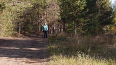 Bir sonbahar ormanında Nordic Walking pratik kadın, o kumlu yolda kameraya gidiyor. Ön görünüm.yavaş çekim