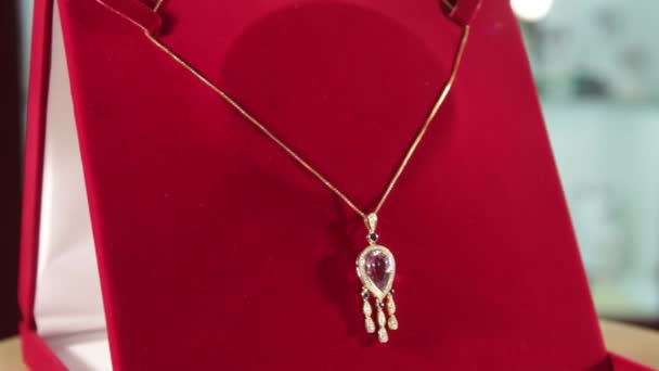 Srebrny wisiorek z purpurowym diamentem obraca się na czerwonej aksamitnej podstawki w sklepie jubilernym. Biżuteria — Wideo stockowe