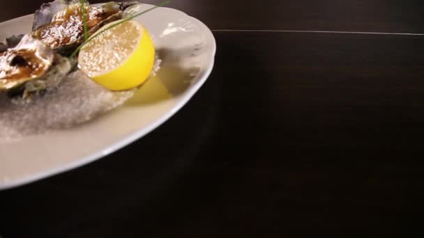 Oysters cooked with Hollandaise sauce.Plate with coarse salt.Dutch sauce.Copy space — Stock Video