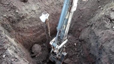 Kazıcı kil ve kumlu toprak kazar.