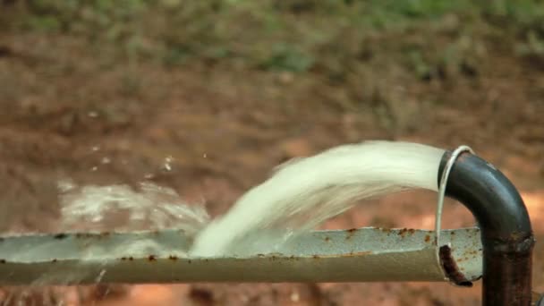 Puissante eau qui coule d'une pompe à tuyau . — Video