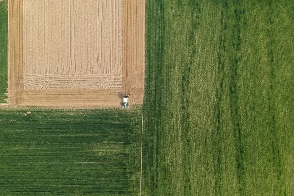 Champs Agricoles Vue Aérienne — Photo