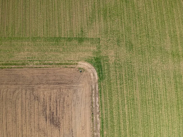 Champs Agricoles Vue Aérienne — Photo