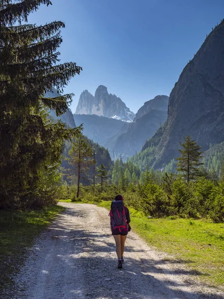 Tre Cime di Lavaredo Dağı'nın altındaki dolomitlerde trekking