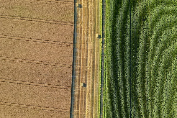 Tarım alanı en tepeden görülüyor
