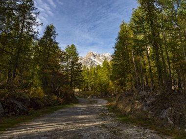 Alplerde sonbahar renkleri