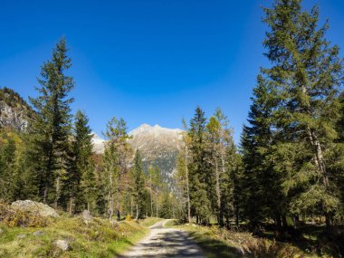 Alplerde sonbahar renkleri