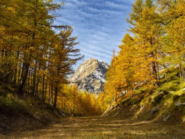 Alplerde sonbahar renkleri