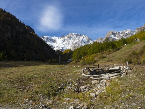 Cores Outono Nos Alpes — Fotografia de Stock