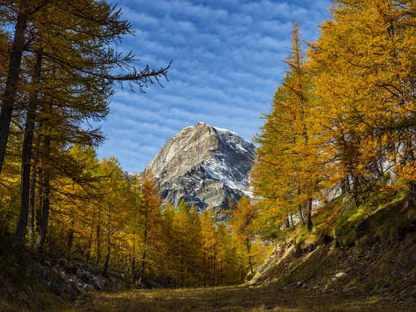 Herbstfarben Den Alpen — Stockfoto