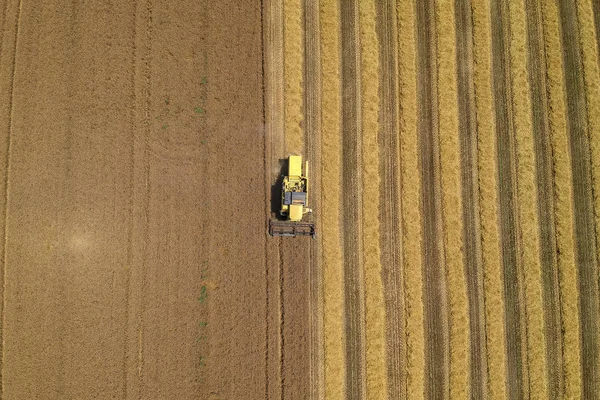 Oogstmachine in een veld — Stockfoto